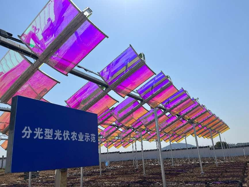 向陽而生，與光共舞——高資100MW光伏項(xiàng)目破土成章，勻光分光間書寫"雙碳"詩行